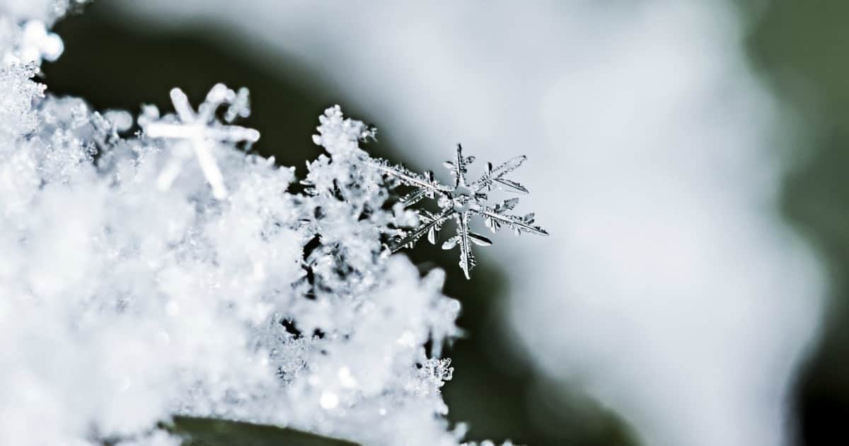 An image of a snow close up