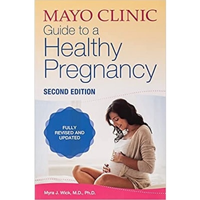 A book entitled Guide to a Healthy Pregnancy