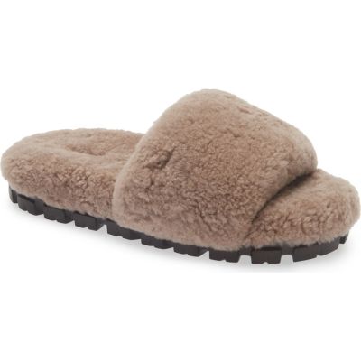 A light brown fuzzy UGG slipper