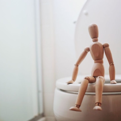 wooden doll sits on a toilet
