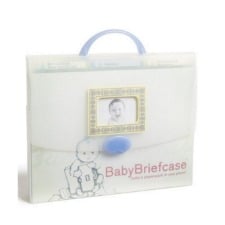 A Baby Briefcase Paperwork Organizer