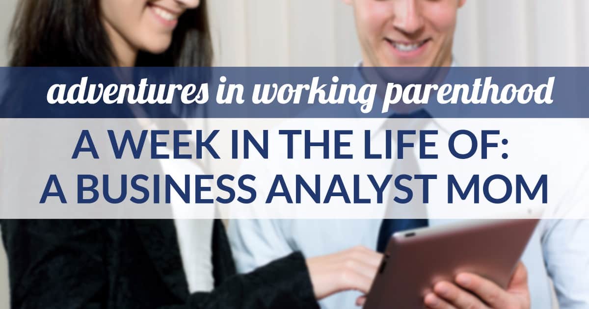 business analyst mom midwest