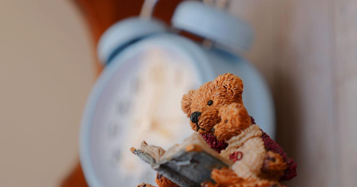 A teddy bears reading a book.