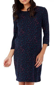 Maternity Dress for Work: Rosie Pope 'Sloane' Maternity Dress