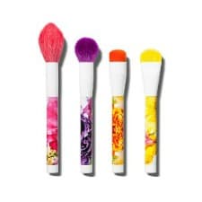 A set of sonia kashuk makeup brush