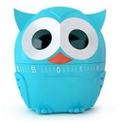 An owl digital timer