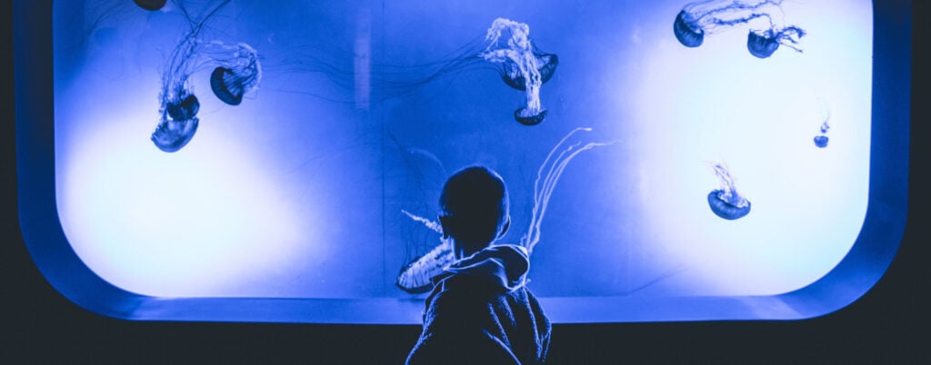 child stands in front of large aquarium tank; it's a family adventure!